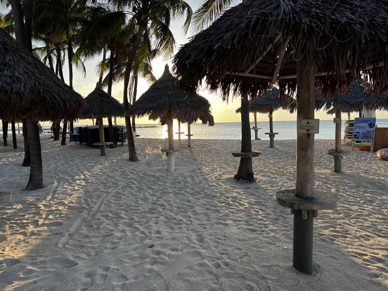 Gezocht horeca ondernemer Aruba Oranjestad