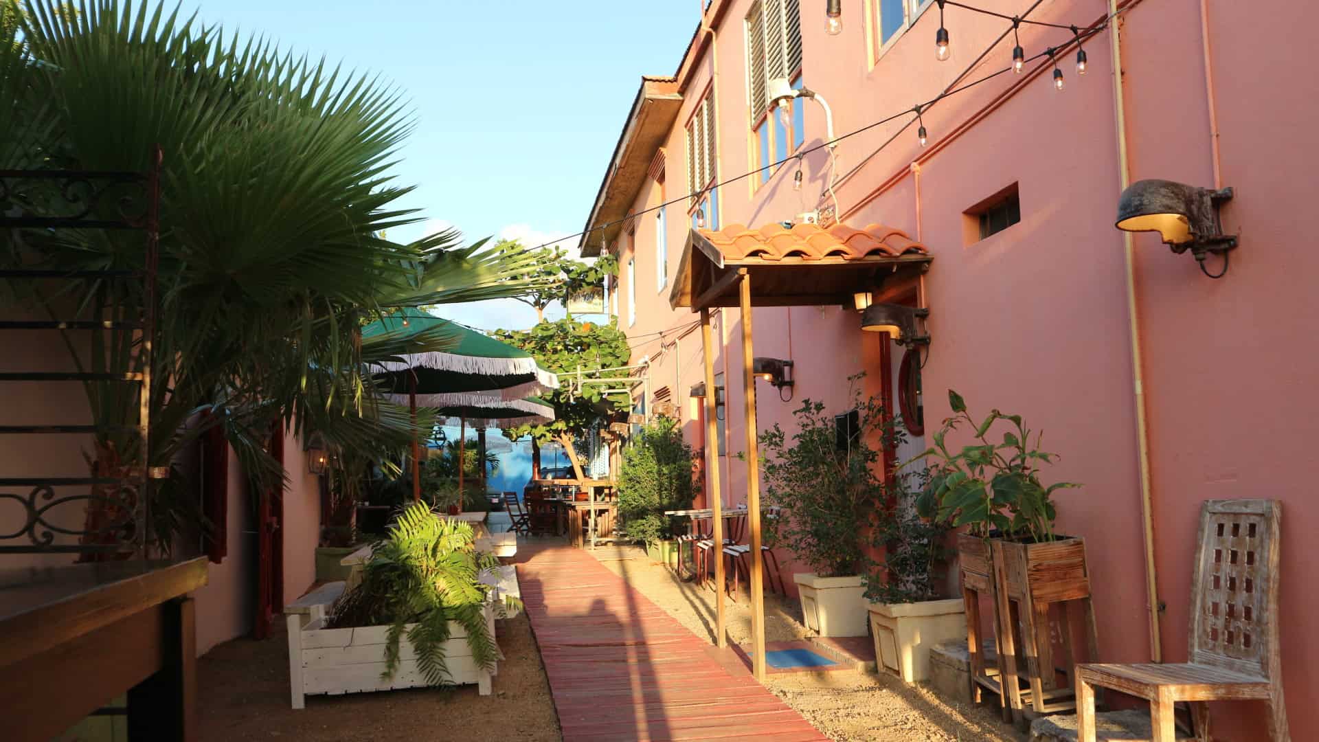 Gezocht horeca ondernemer Aruba Oranjestad