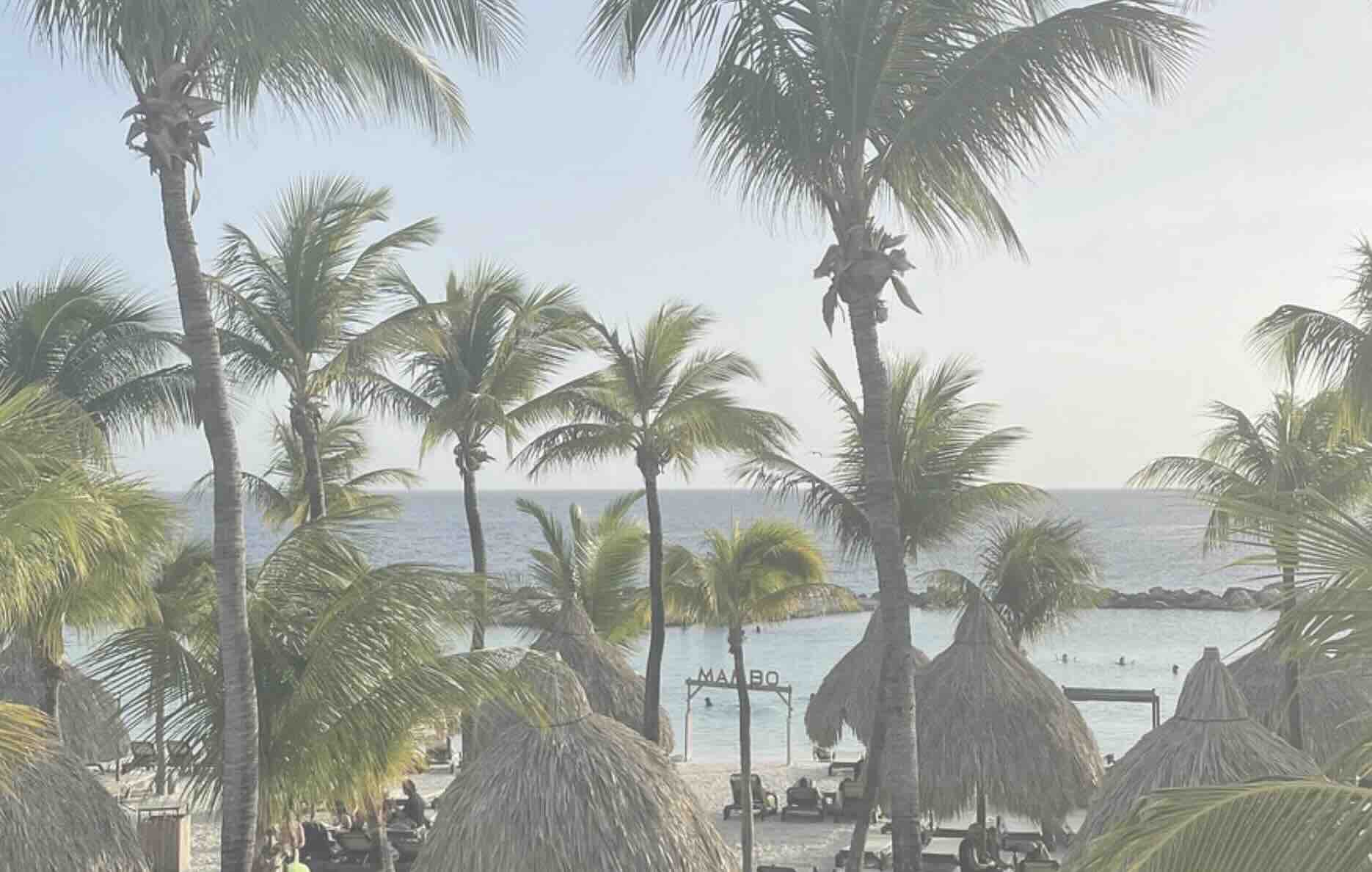 Te koop restaurant Mambo beach Curacao